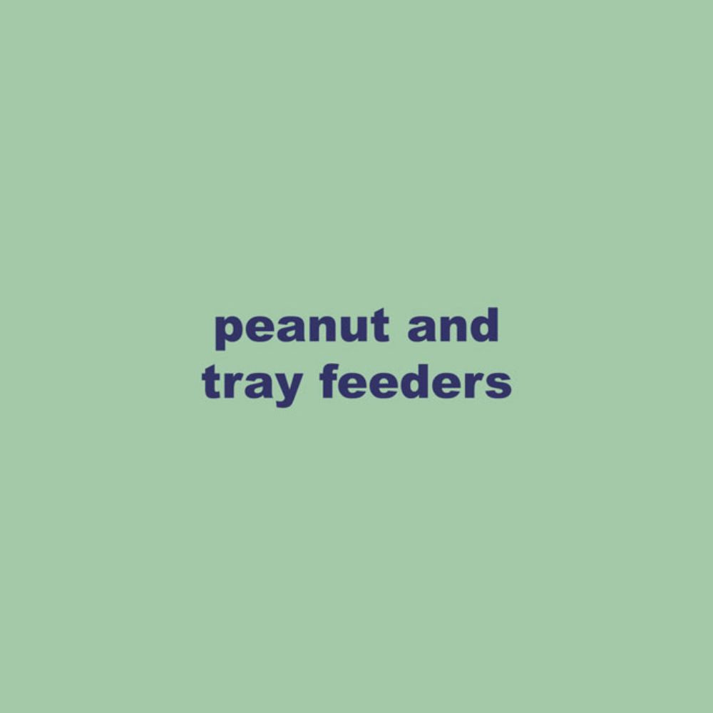 Showing peanut seed feeder options
perch & weather