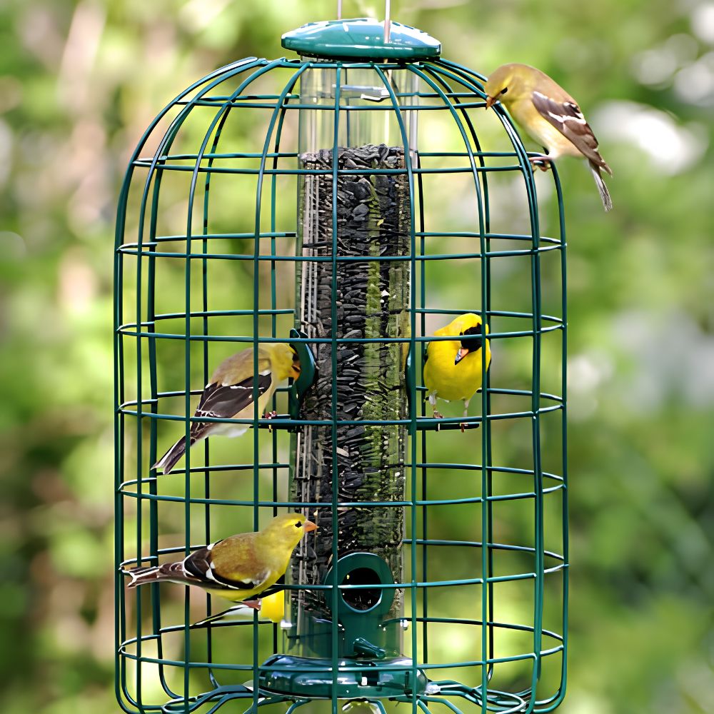 A green bird feeder cage filled with birdseed, with four yellow birds perched around it against a soft green garden background

perch & weather