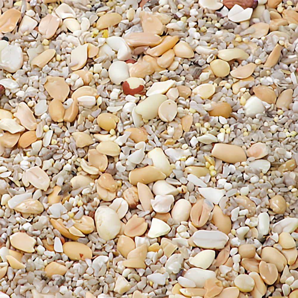 A close-up of mixed beach pebbles and small shells in natural tan, cream, beige, and light brown tones
perch & weather
