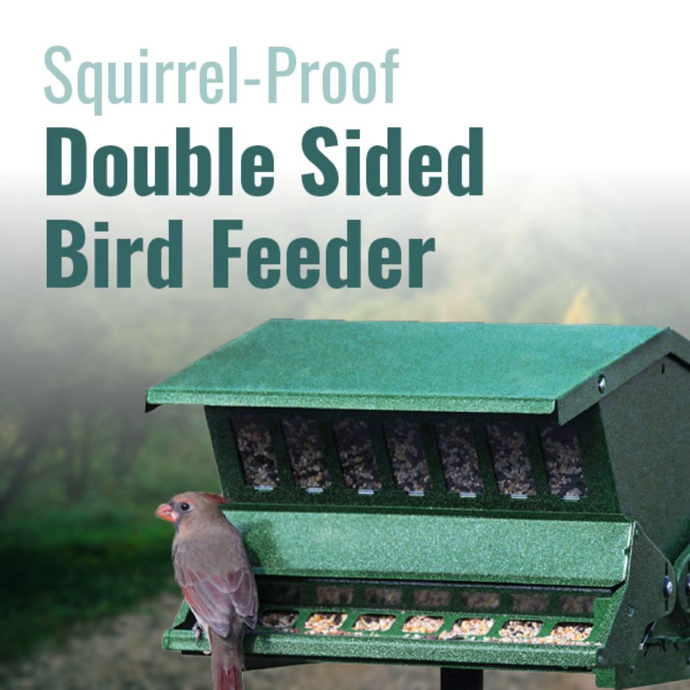 Squirrel-proof double-sided bird feeder with a bird perched on it, against a natural background

perch & weather