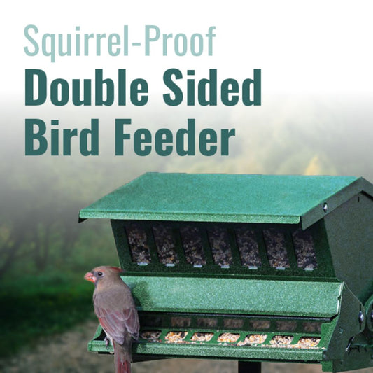 Squirrel-proof double-sided bird feeder with a bird perched on it, against a natural background

perch & weather