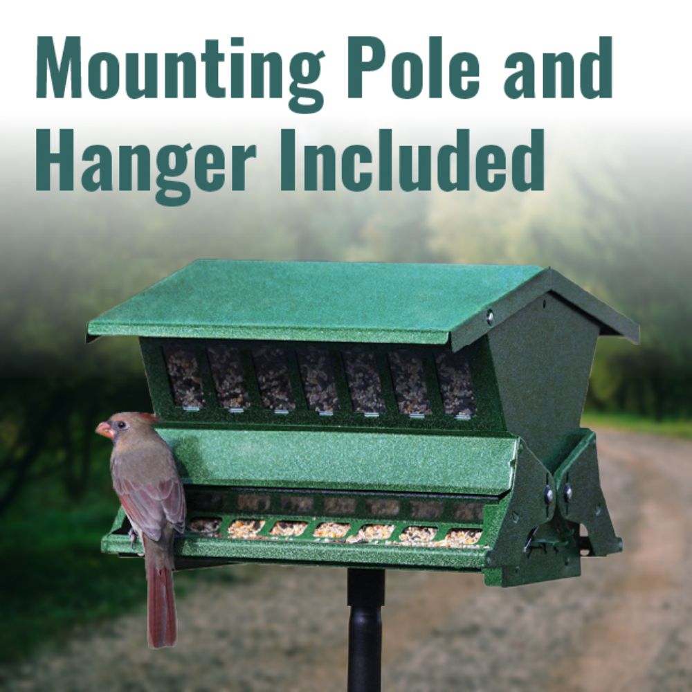 Green bird feeder with a bird on it, set against a natural background

perch & weather