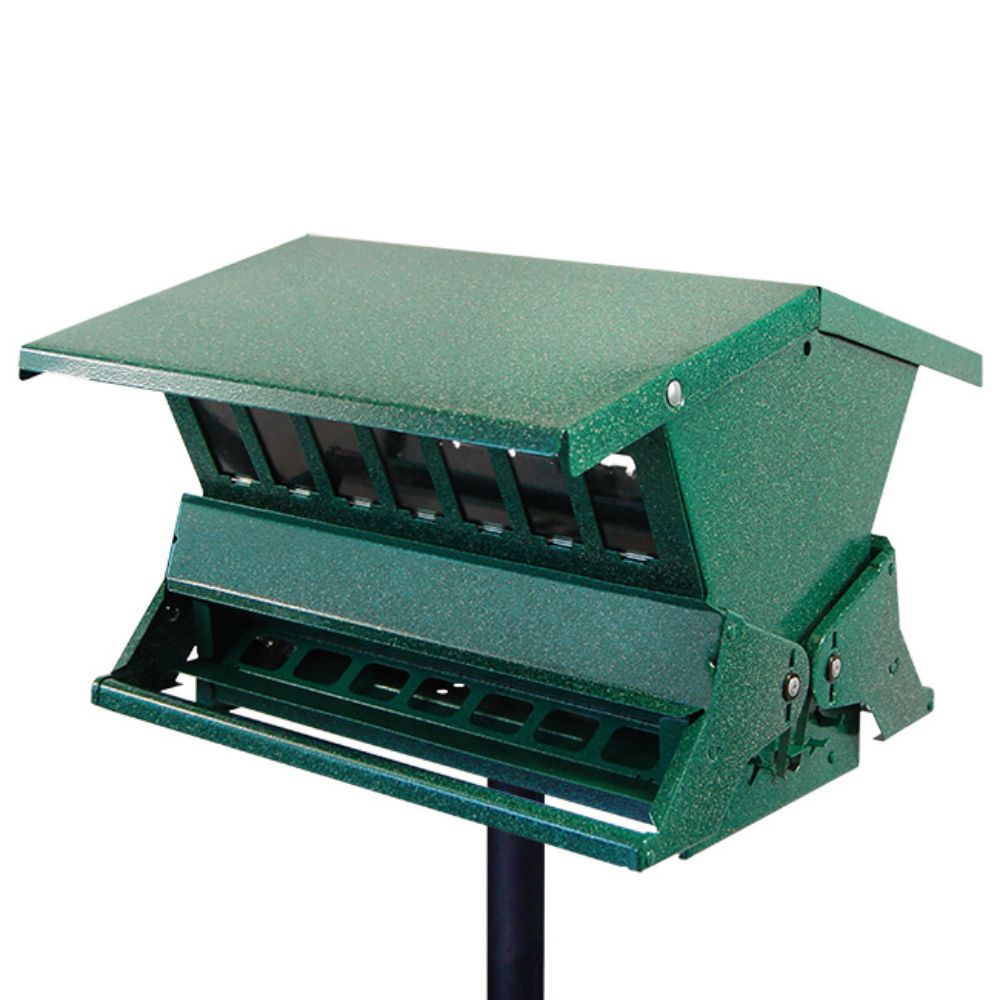 A green metal bird feeder mounted on a black pole, shown against a plain white background

perch & weather