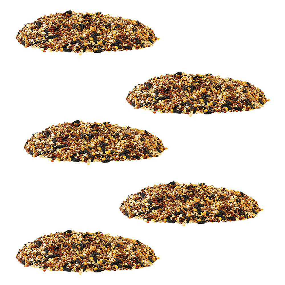 Five small mounds of coarse ground mix, likely bird seed or granulated feed, shown on a plain white background
perch & weather