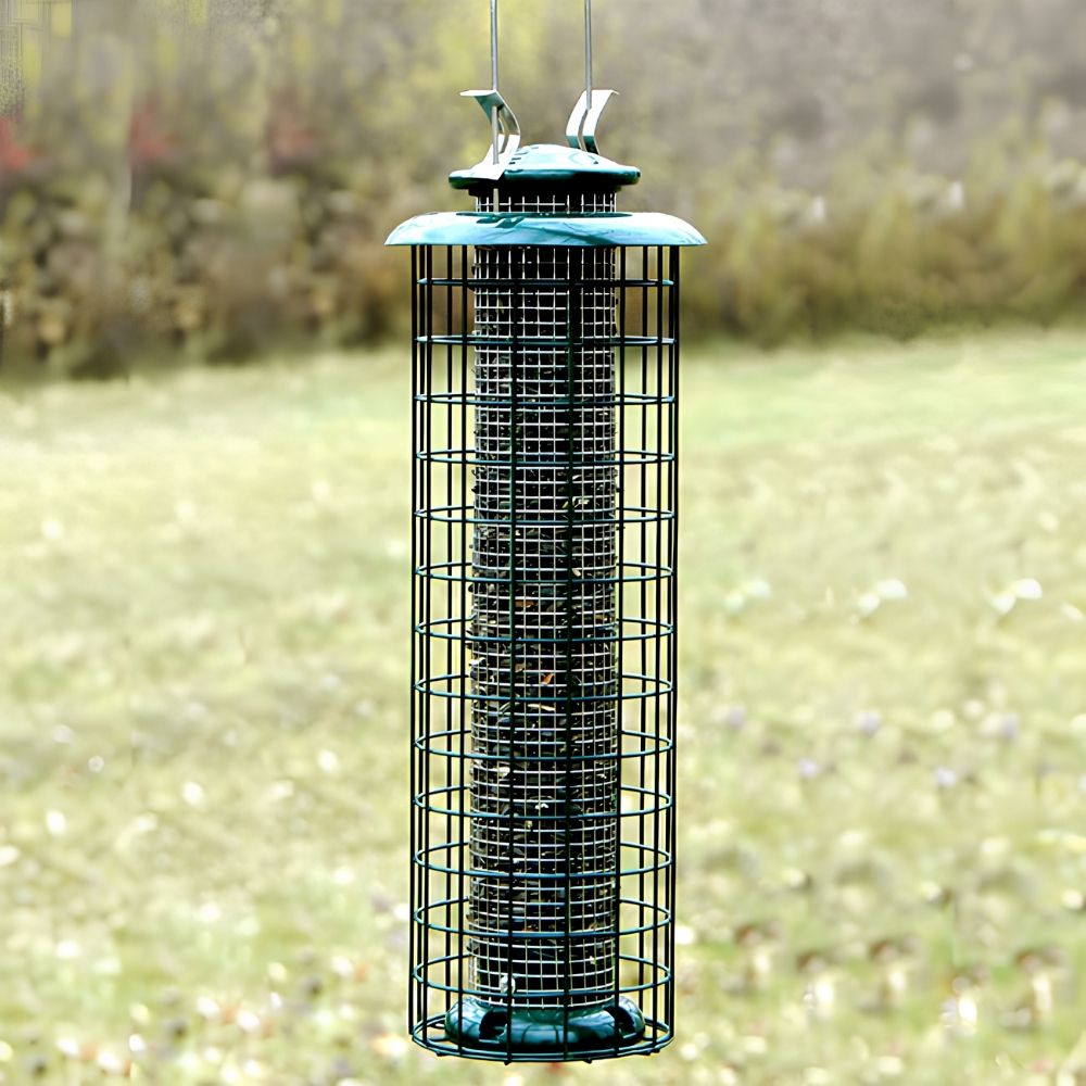 birdfeeder lifestyle
perch & weather