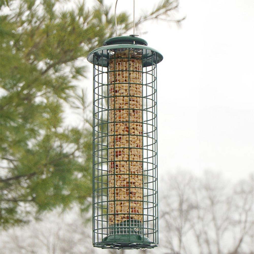 birdfeeder with wire mesh for squirrel protection
perch & weather